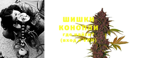 стафф Белокуриха