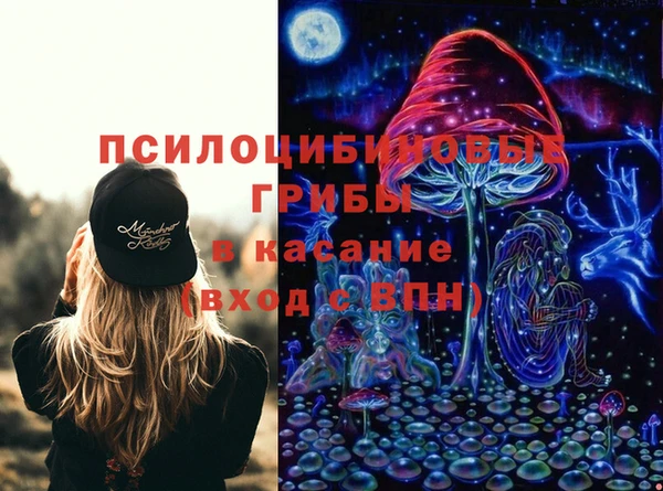 стафф Белокуриха