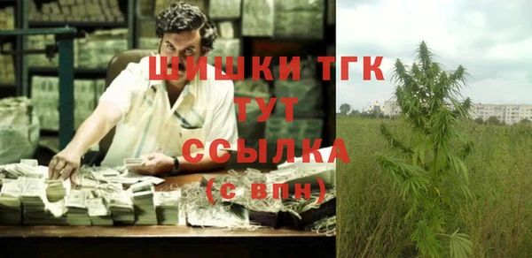 стафф Белокуриха