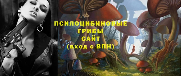 бошки Беломорск