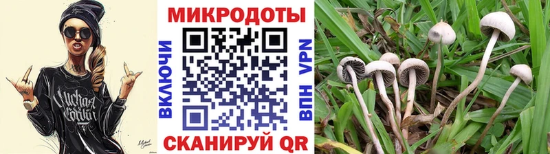 Псилоцибиновые грибы мицелий  Верещагино 